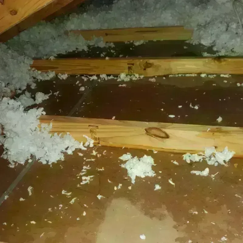 Attic Water Damage in North Braddock, PA